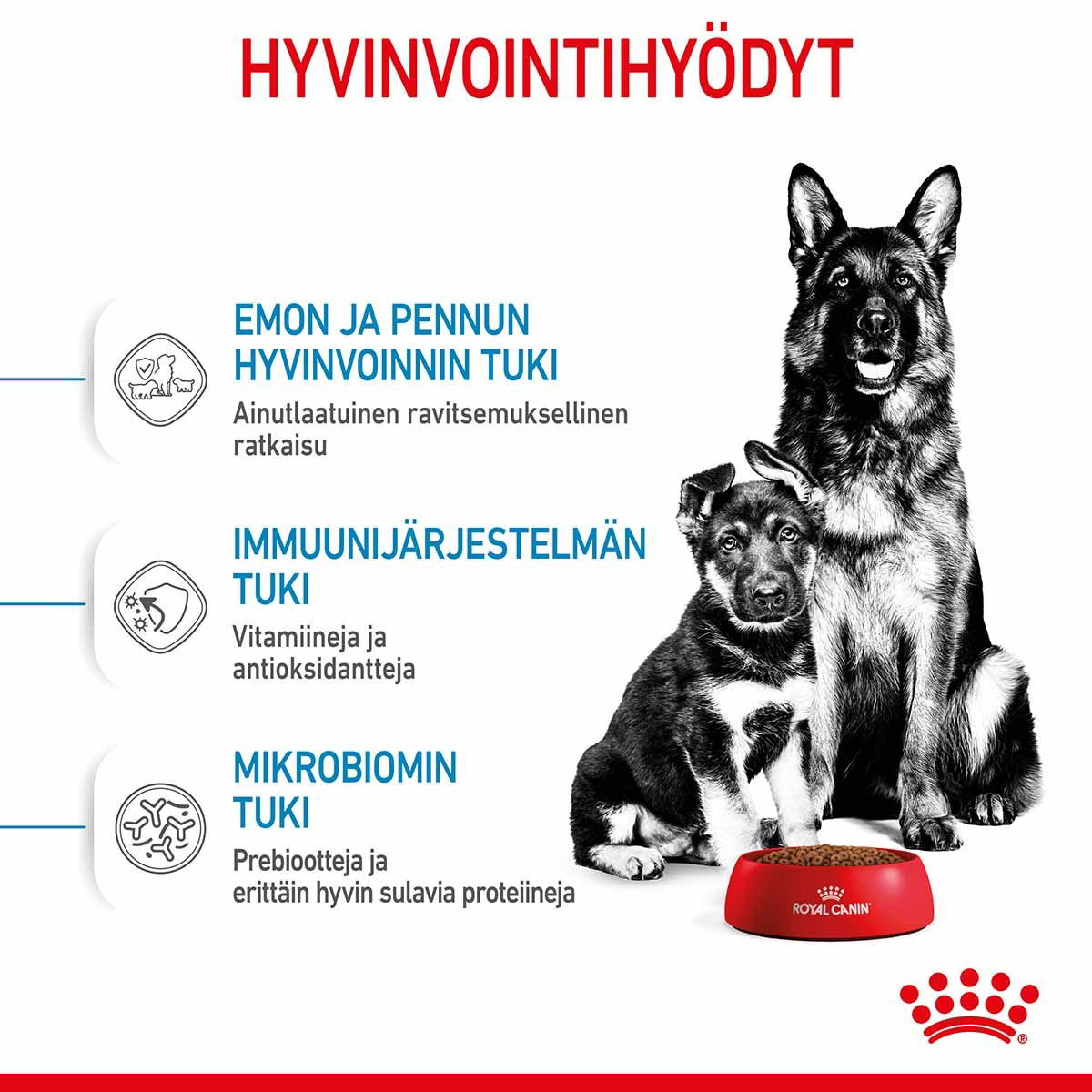 Royal Canin Maxi Starter koiran ja koiranpennun kuivaruoka