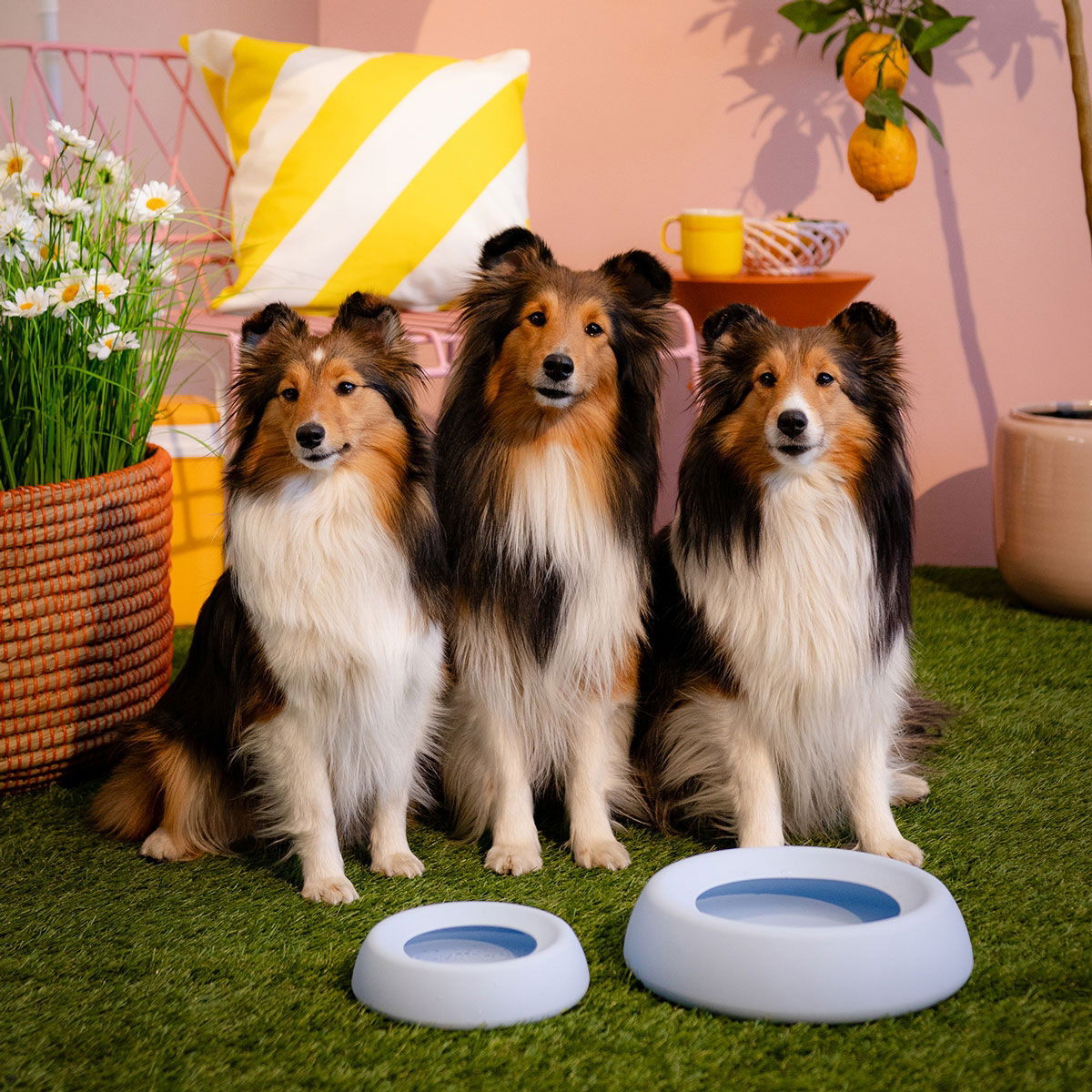 Little&Bigger Voyage no-spill silikoninen matkavesikuppi vaaleansininen