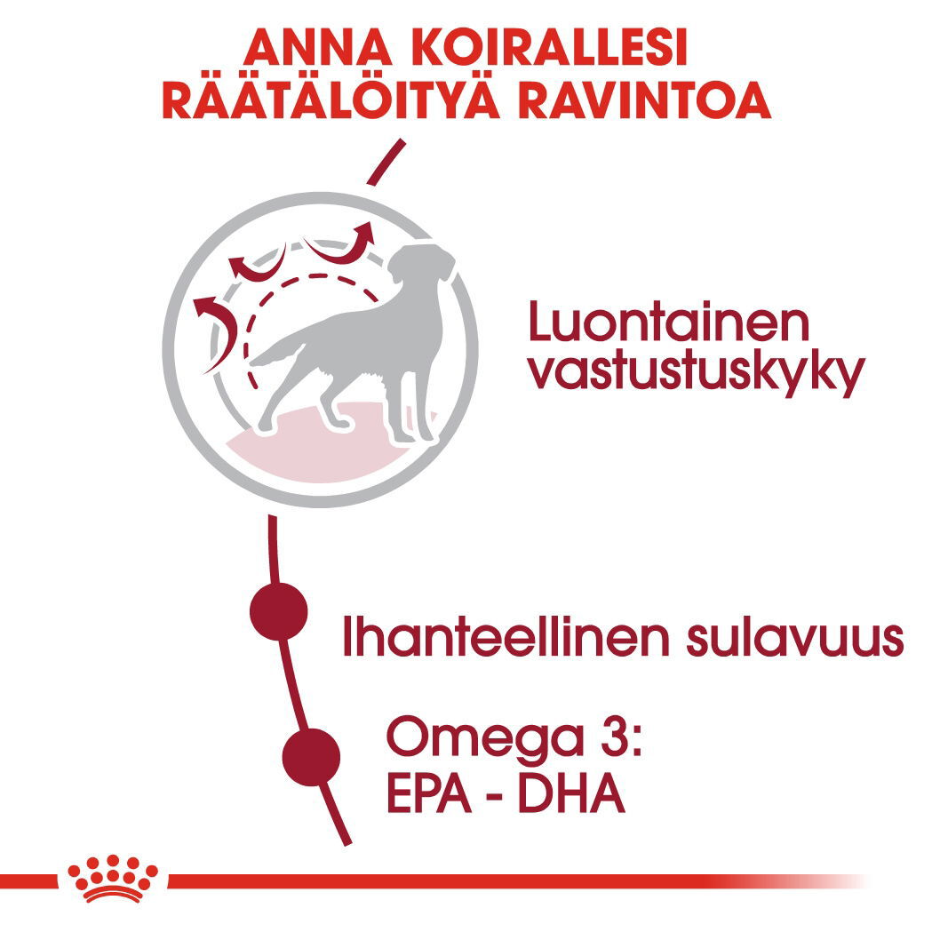 Royal Canin Medium Adult koiran kuivaruoka