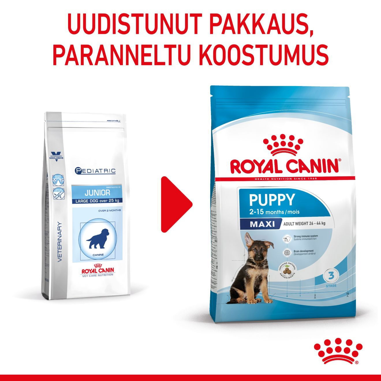 Royal Canin Maxi Puppy koiranpennun kuivaruoka