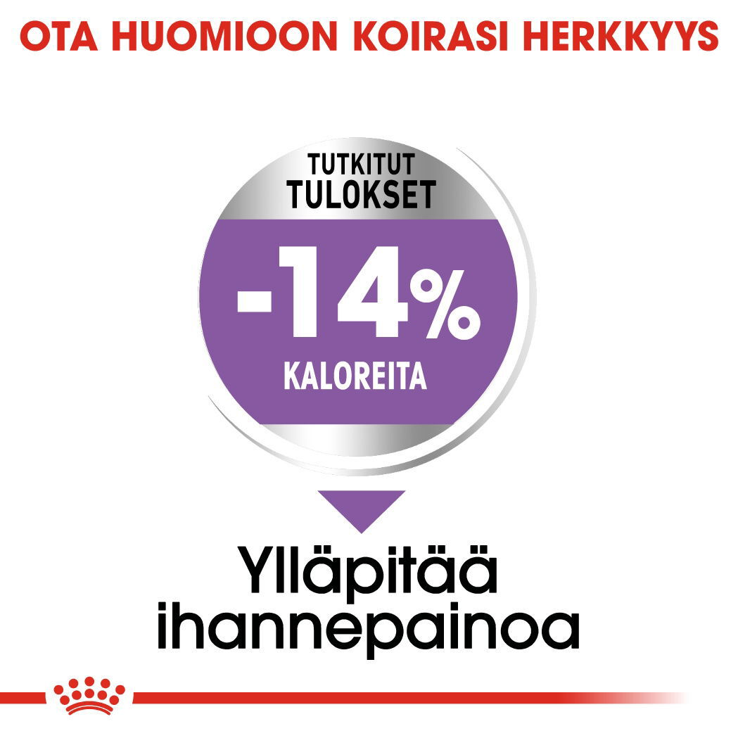 Royal Canin Mini Sterilised