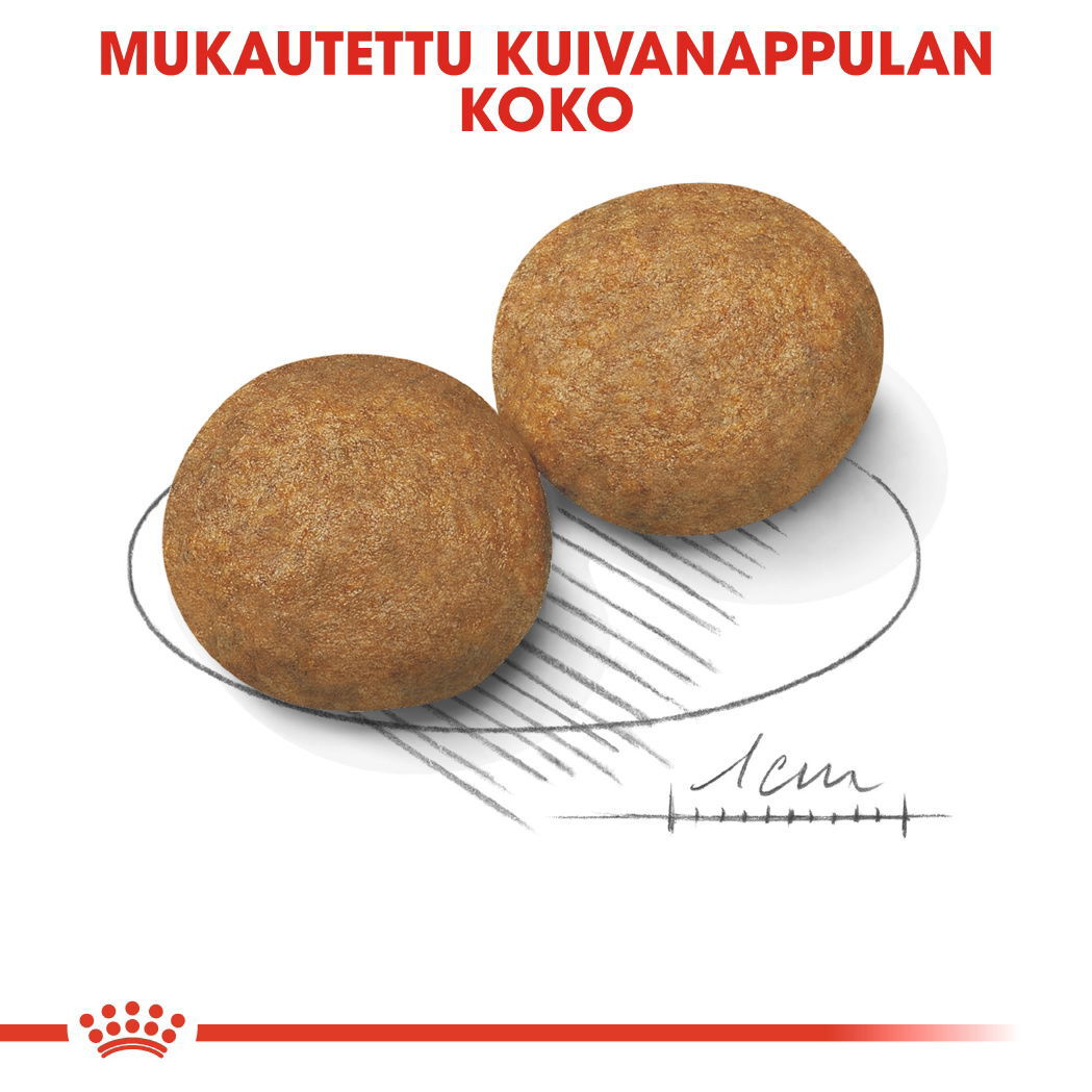 Royal Canin Medium Adult koiran kuivaruoka