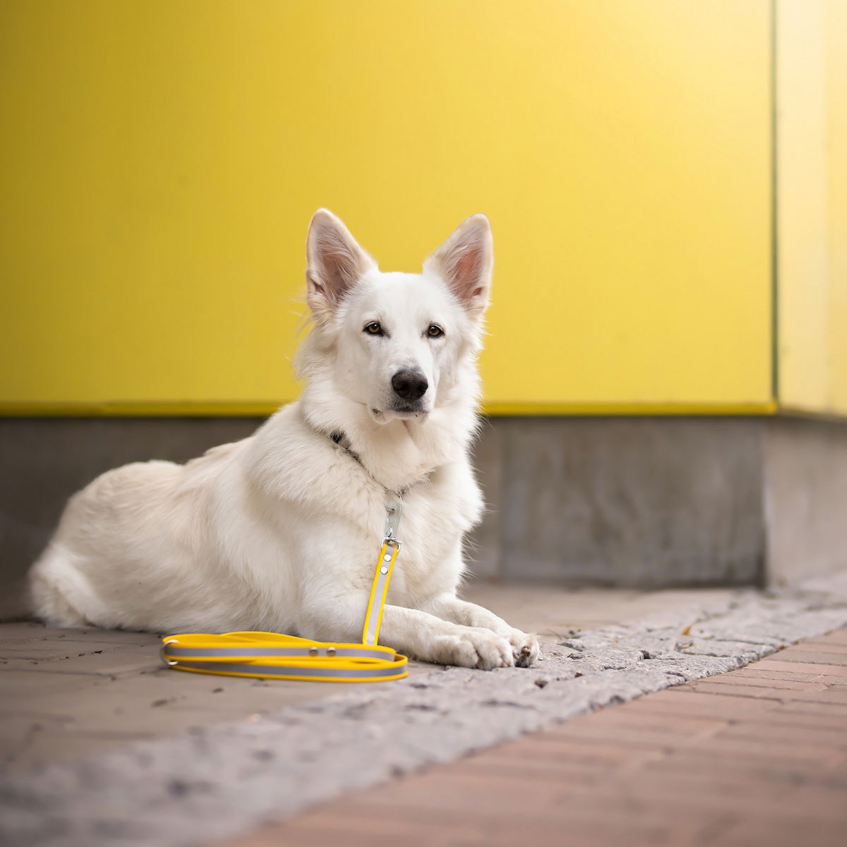 Heijastintalutin Tyylivoitto Shine Eazy, keltainen