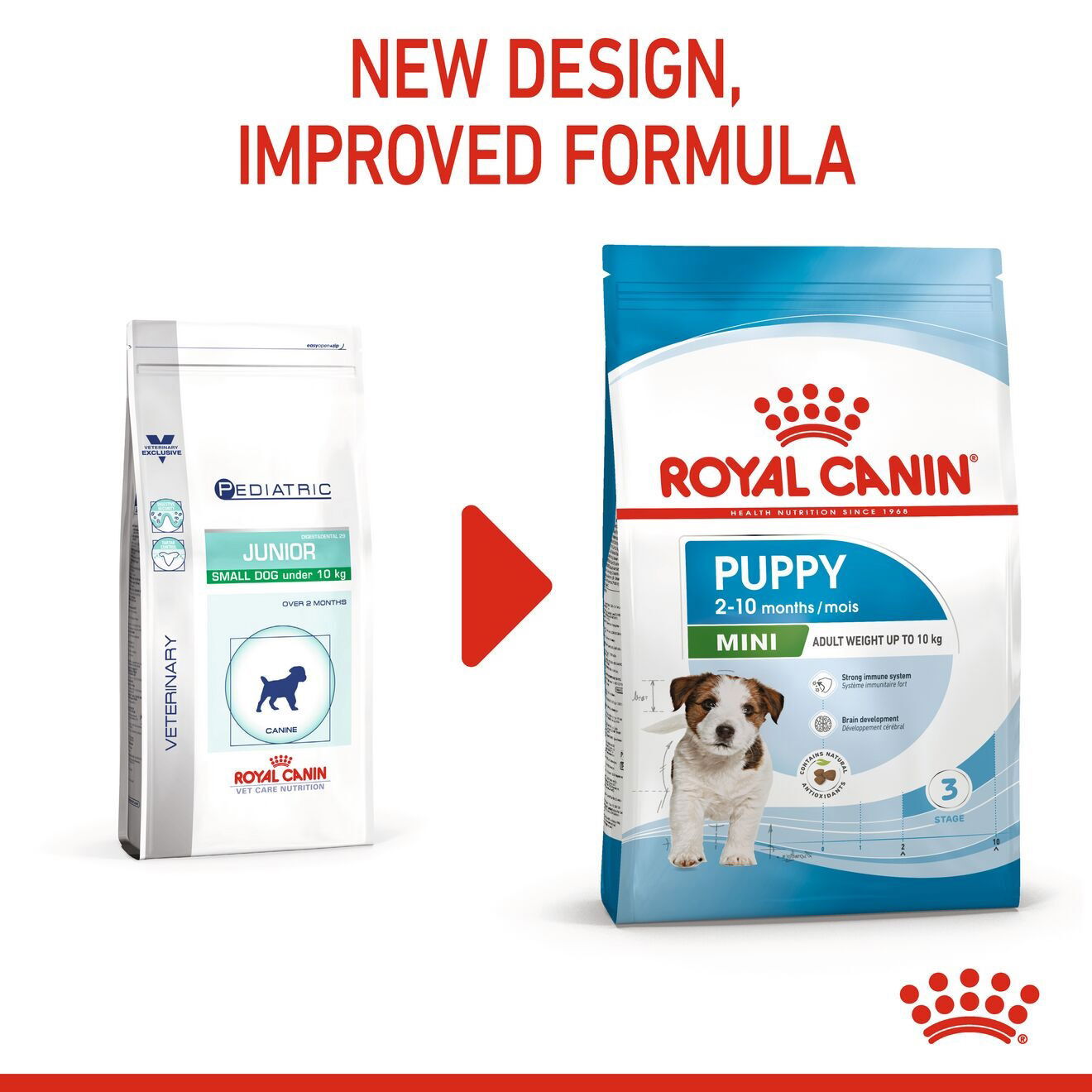 Royal Canin Mini Puppy koiranpennun kuivaruoka