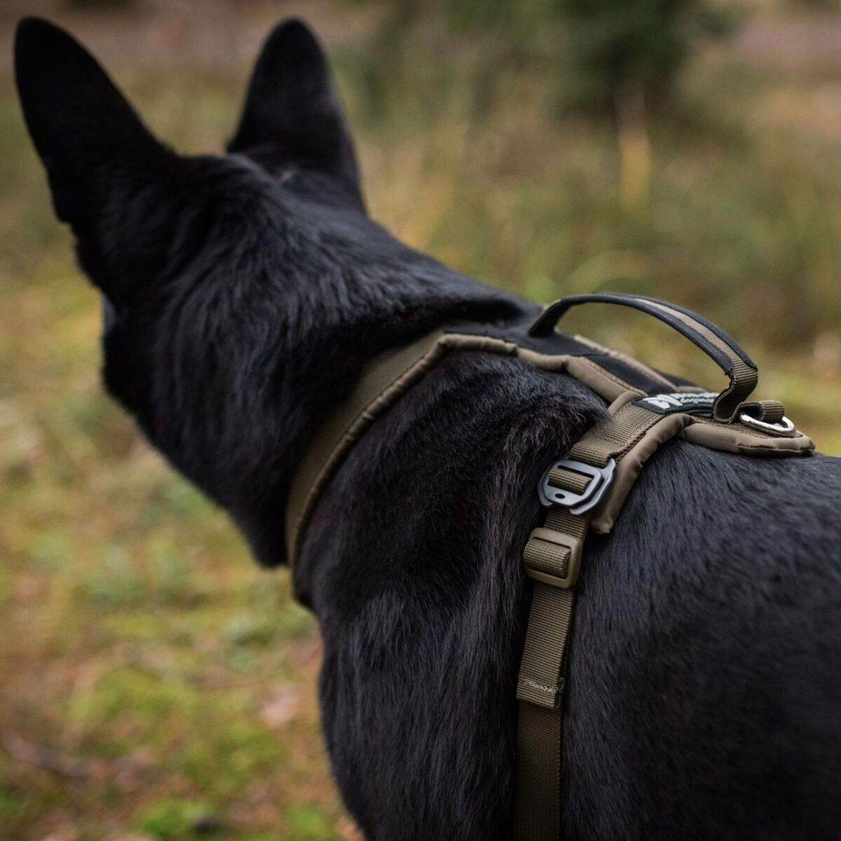 Non-Stop Line harness grip defense, green
