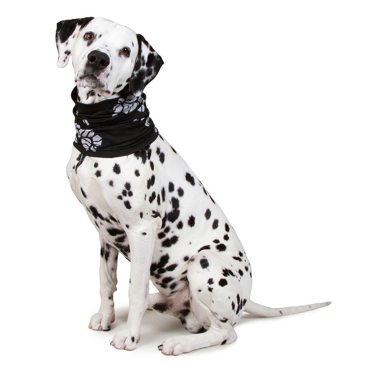 Best Friend Reflective tube scarf