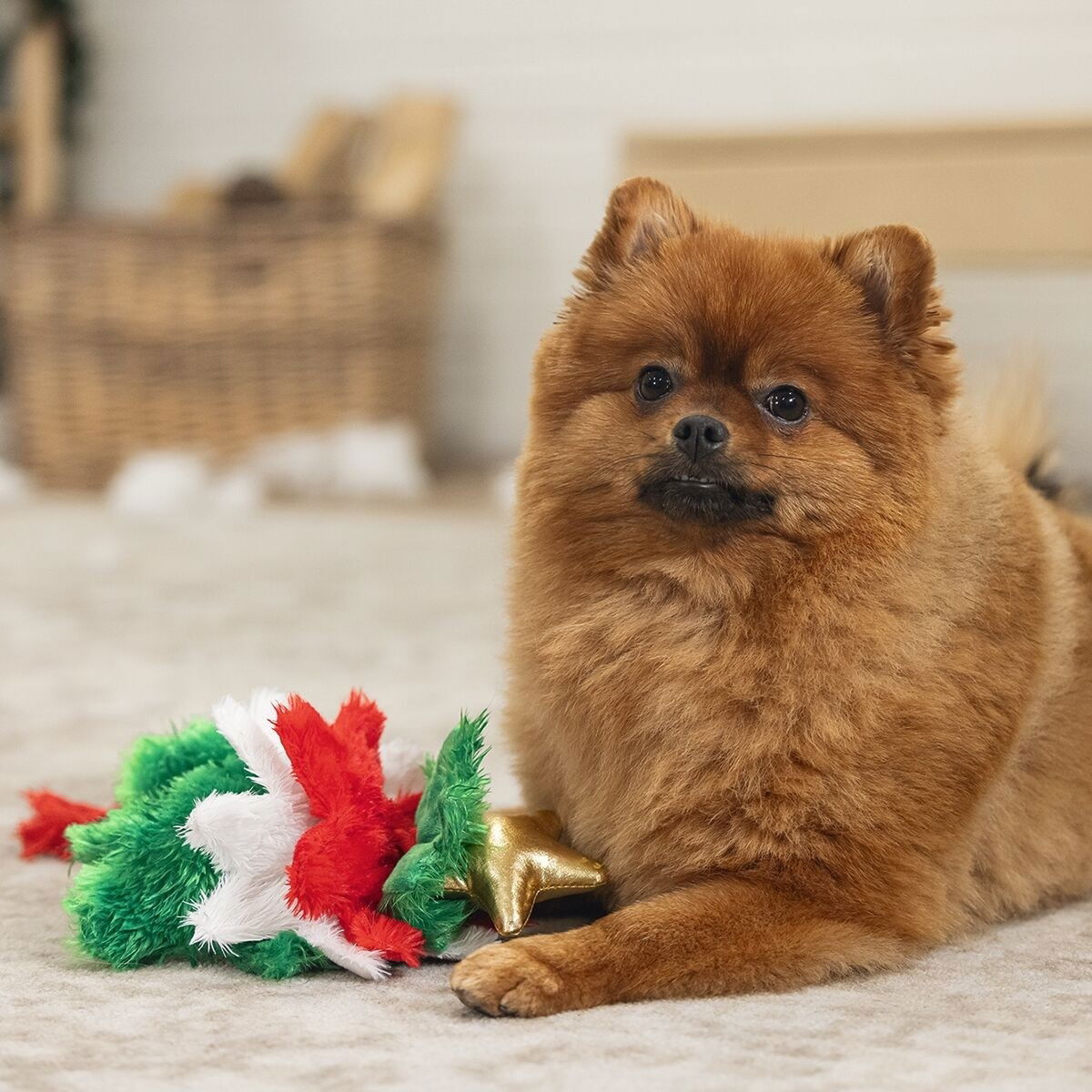 Beeztees Xmas Tree rope toy