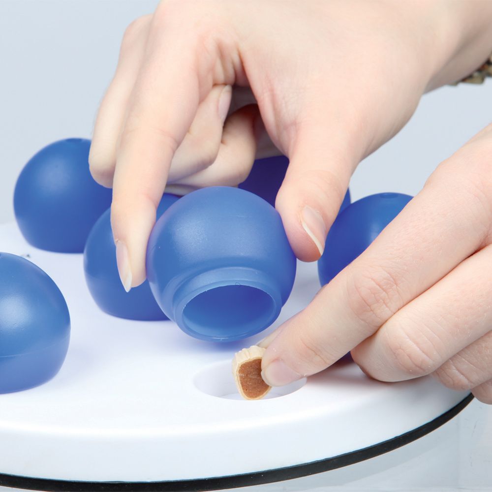 Trixie Cat Activity Solitaire aktivointilelu