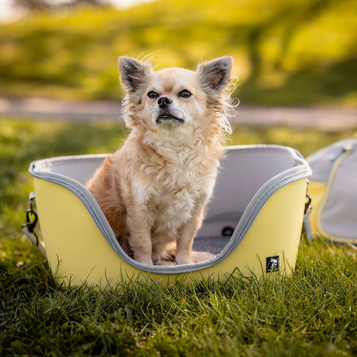 Feel Active kovakuorinen kantokassi sitruunankeltainen