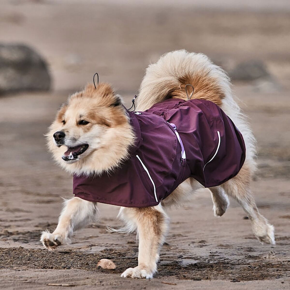 Hurtta Mudventure sadetakki ECO munakoiso