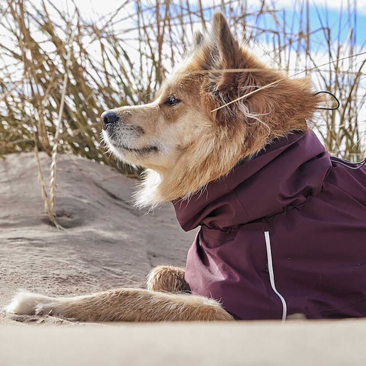 Hurtta Mudventure sadetakki ECO munakoiso