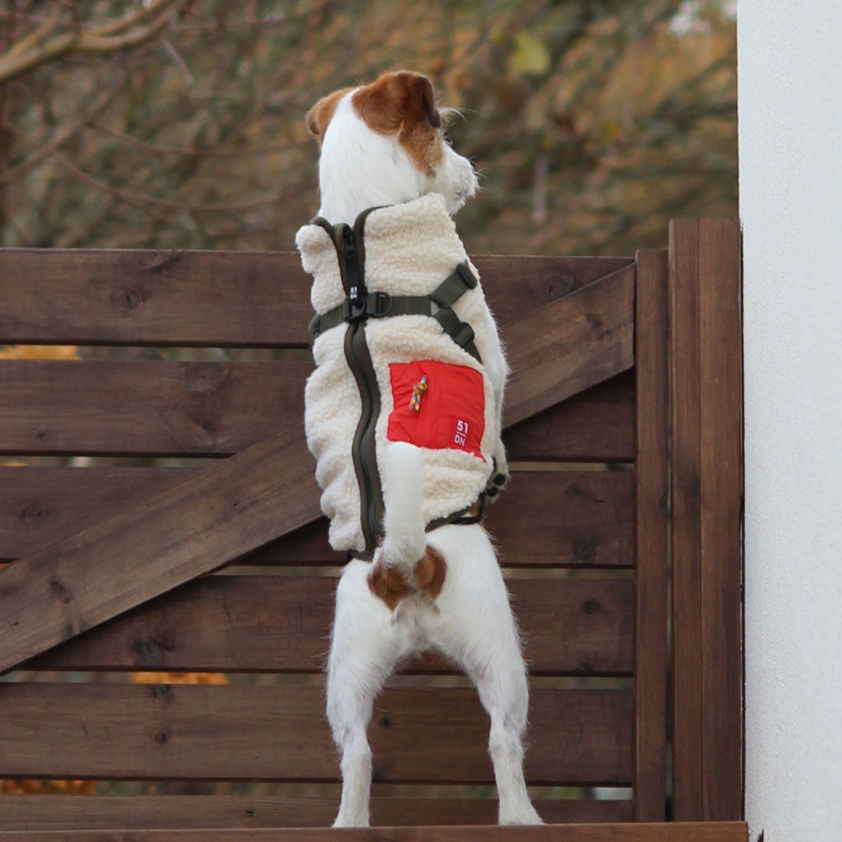 51 Degrees North Jules Harness Coat, Beige/Olive