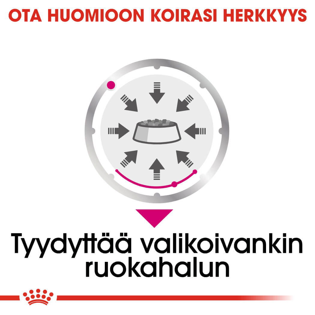 Royal Canin Exigent Adult koiran märkäruoka
