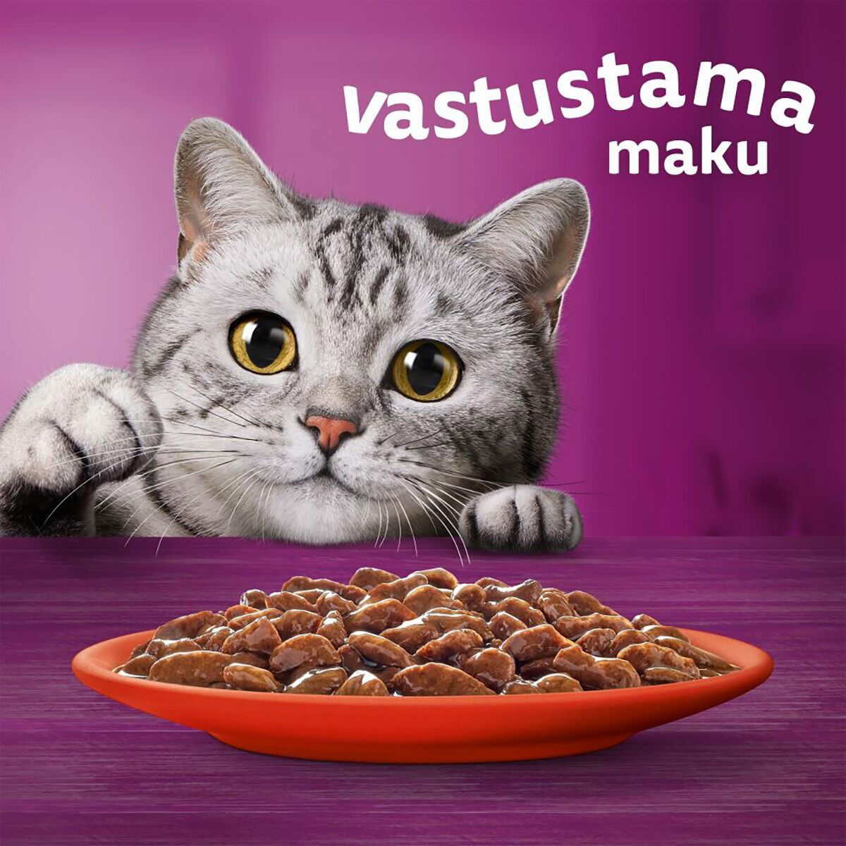 Whiskas 1+ gravy 40x85g