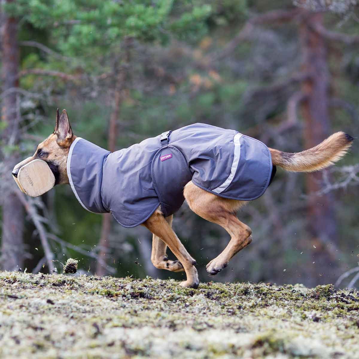 PerusPomppa koiran takki, grafiitti